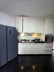 Laguna Park (D15), Apartment #533479121